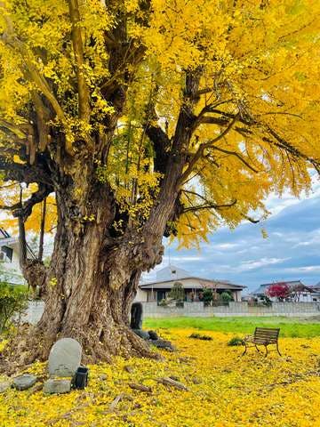 スポットの写真