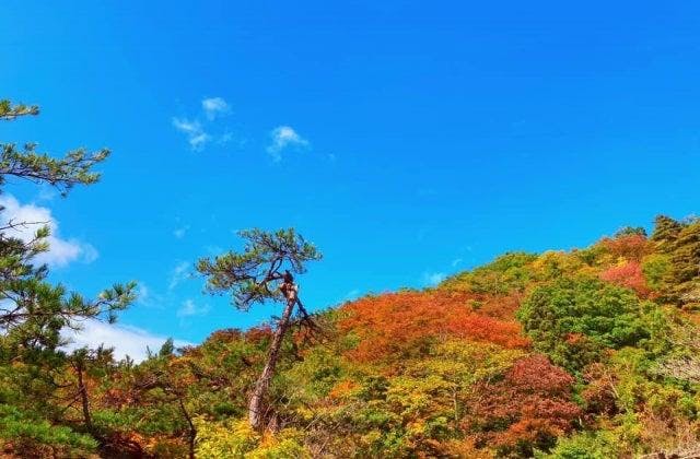 スポットの写真