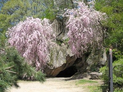 スポットの写真