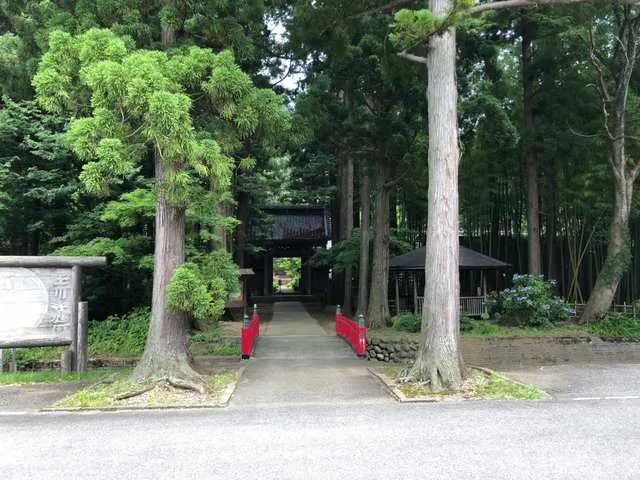 スポットの写真