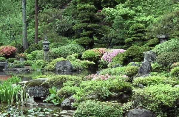 スポットの写真