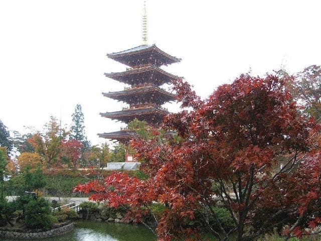 【2022年】成相寺の紅葉