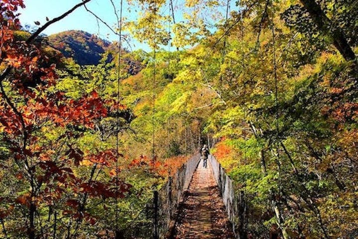【2022年】西沢渓谷の紅葉