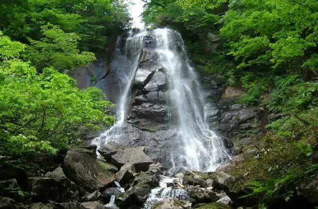 スポットの写真