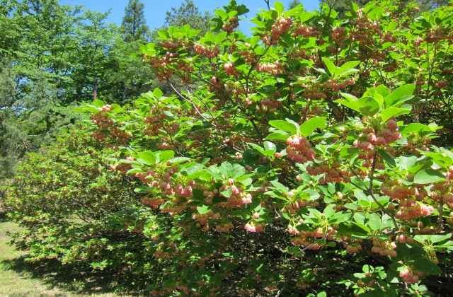 スポットの写真