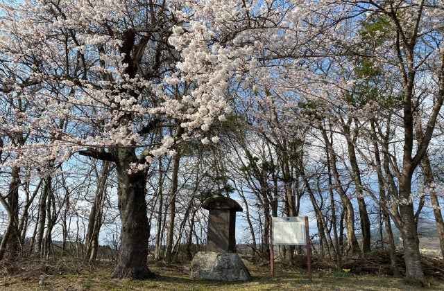 スポットの写真