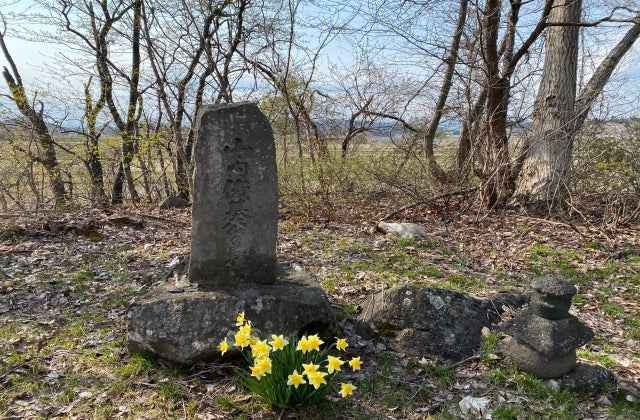 スポットの写真