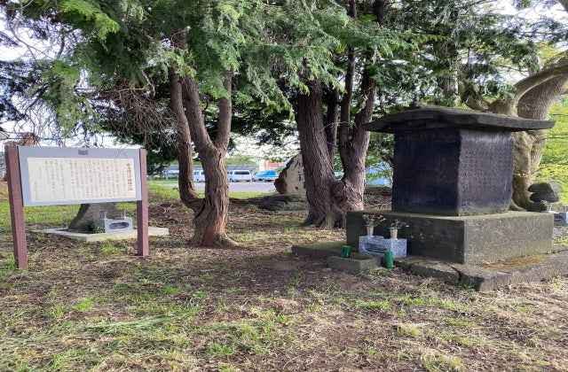 スポットの写真