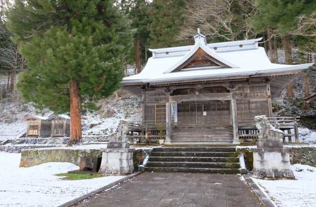 スポットの写真