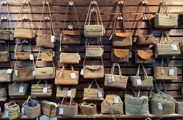 スポットの写真