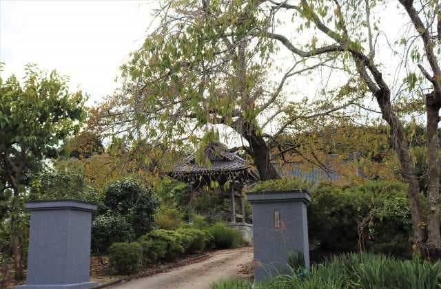 スポットの写真