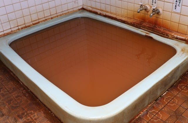 スポットの写真