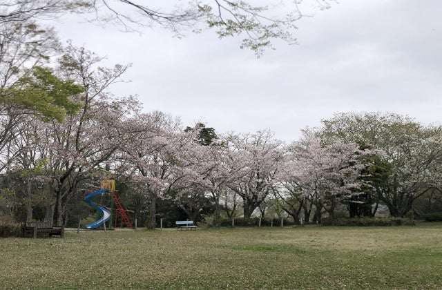 スポットの写真