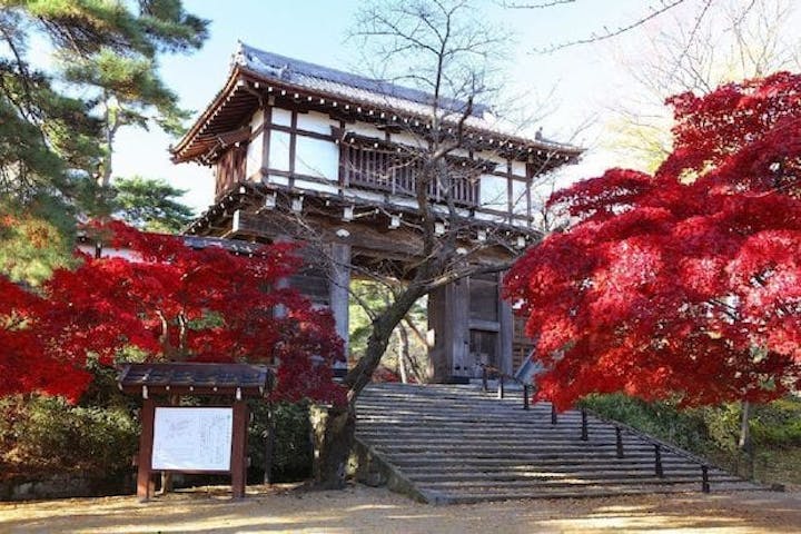 【2022年】千秋公園の紅葉
