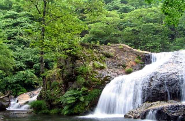 スポットの写真