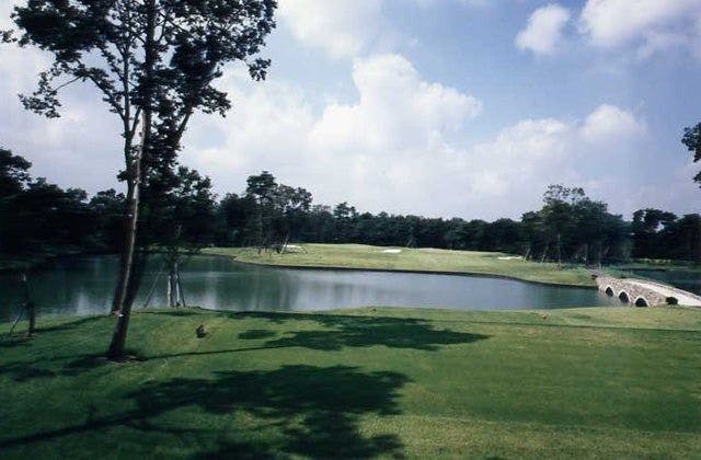 スポットの写真