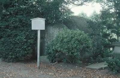 スポットの写真