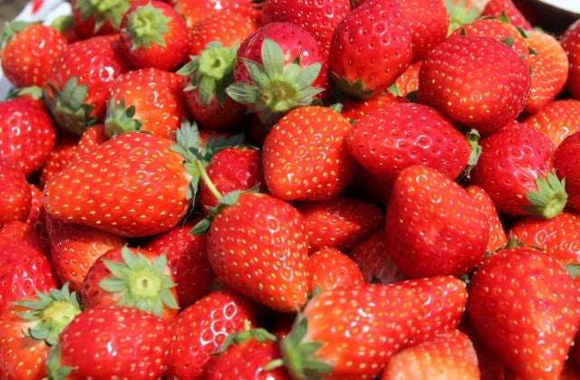 スポットの写真