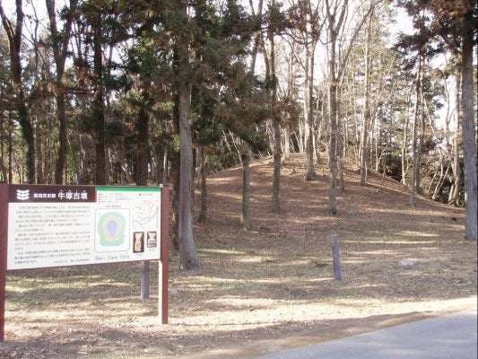 スポットの写真