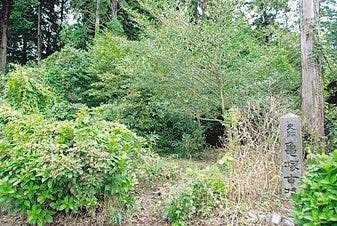 スポットの写真