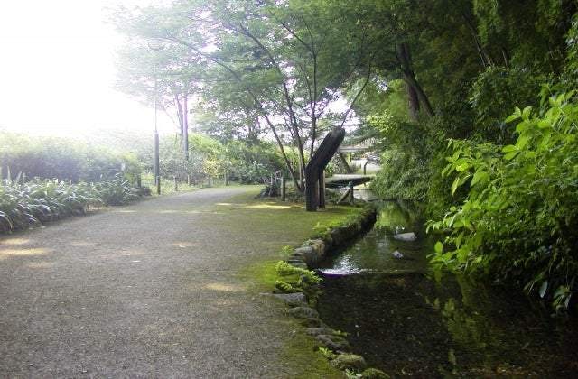 スポットの写真