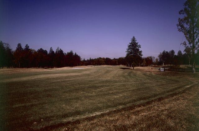 スポットの写真