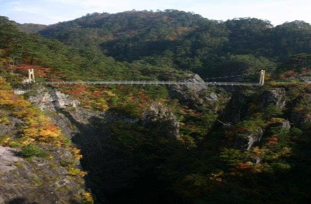 スポットの写真