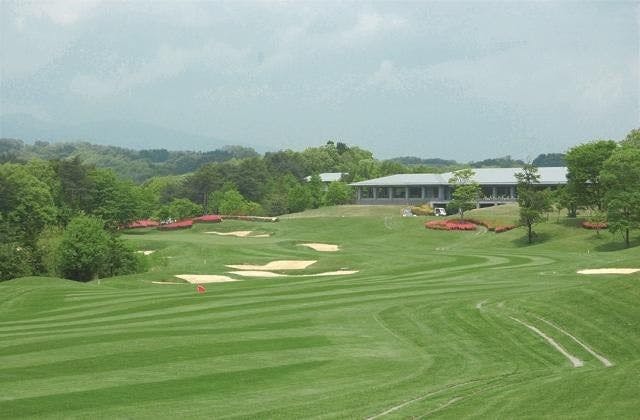 スポットの写真