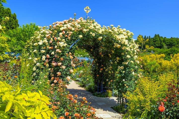 中之条ガーデンズ