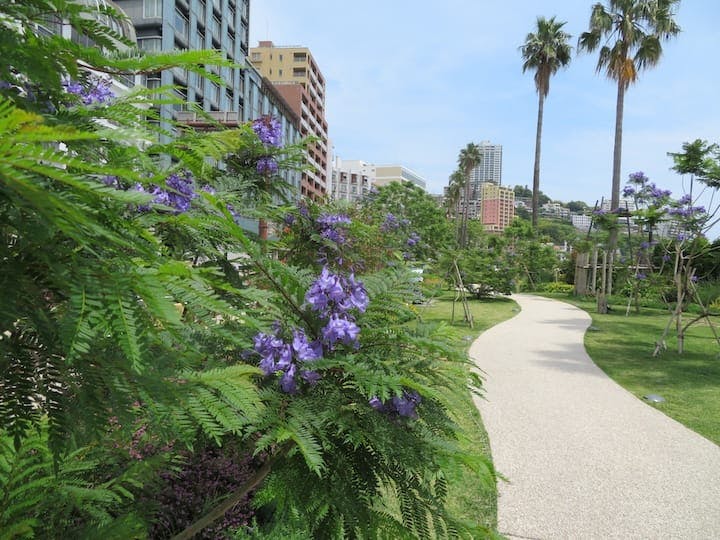 スポットの写真