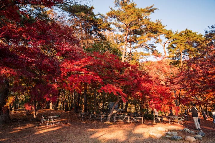月の石もみじ公園