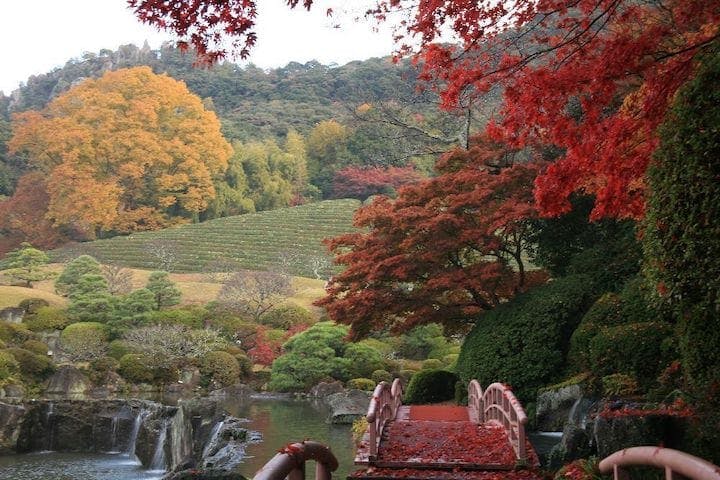 【2022年】日本庭園「慧洲園」の紅葉