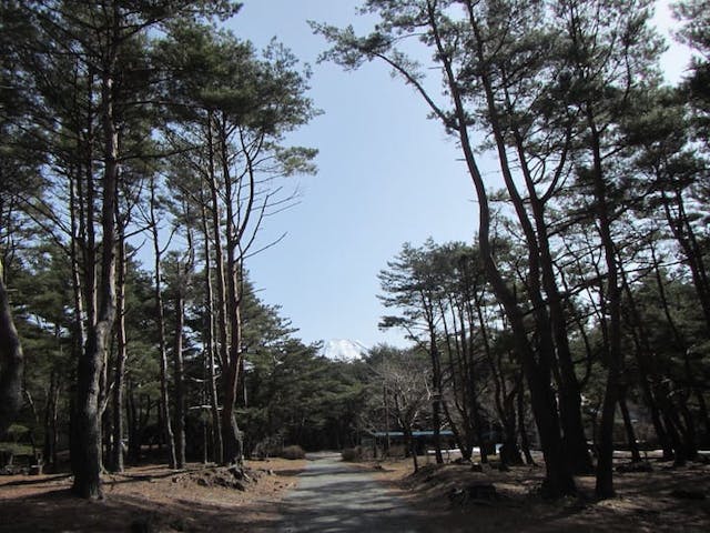 本栖湖キャンプ場