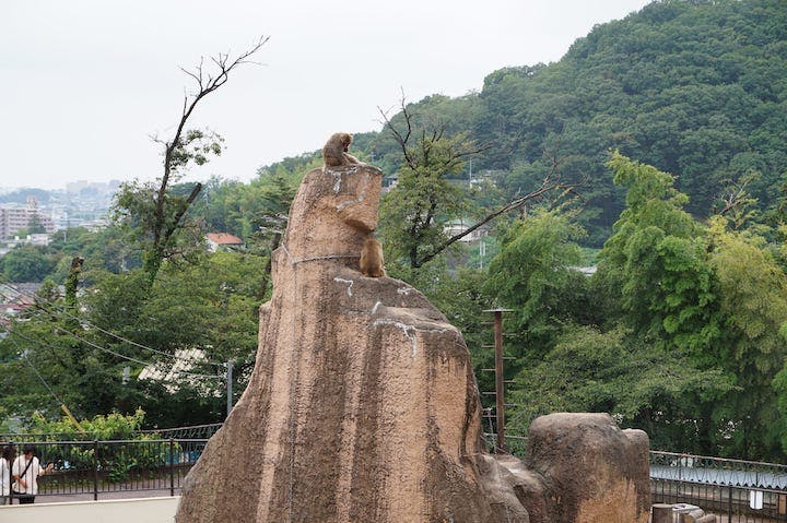 桐生が岡動物園