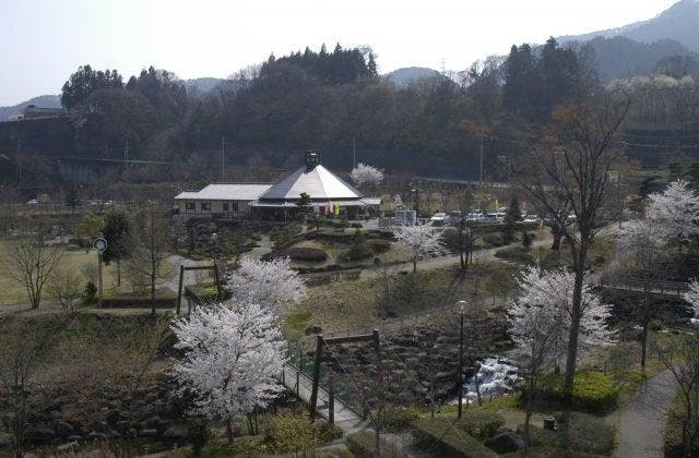 スポットの写真