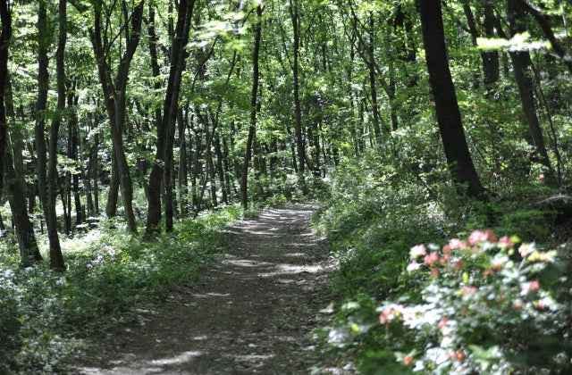 スポットの写真