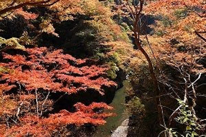 大血川渓谷の紅葉