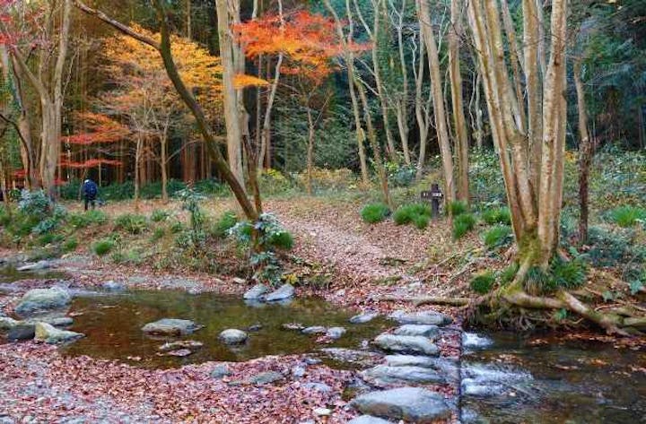 風のみちハイキングコース