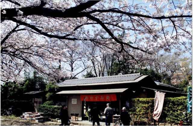 スポットの写真