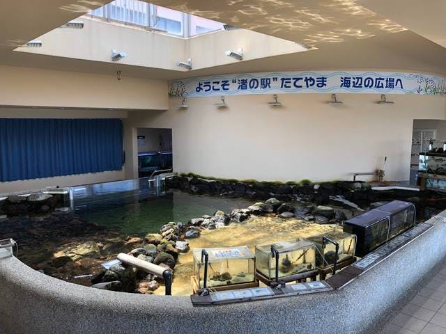 スポットの写真