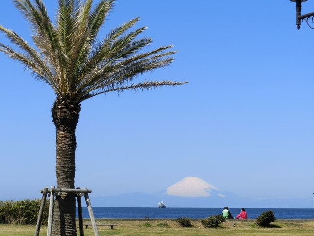 スポットの写真