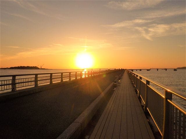 スポットの写真