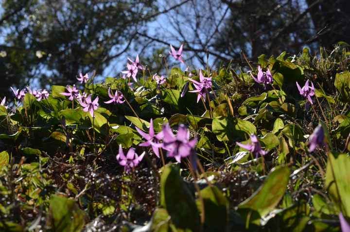 スポットの写真