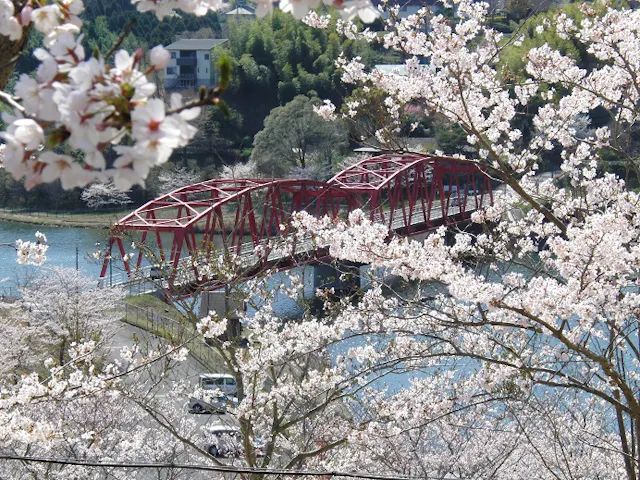 ながらさくらマルシェ