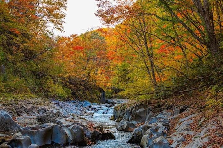 【2022年】裏磐梯高原（中津川渓谷）の紅葉