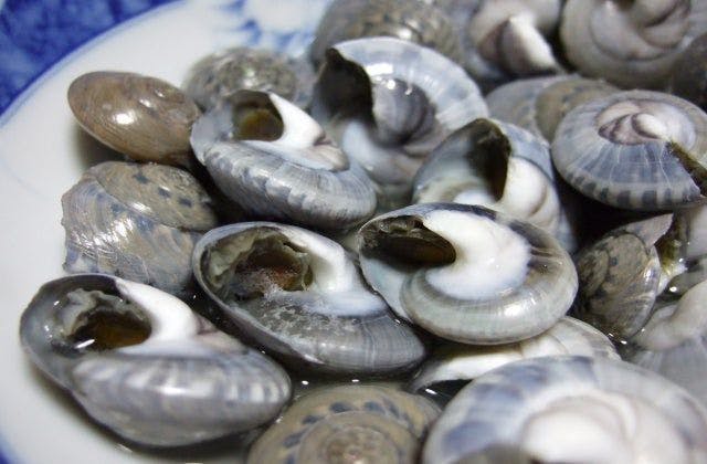 スポットの写真