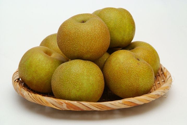 スポットの写真