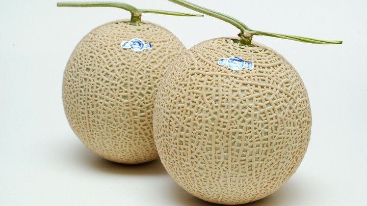 スポットの写真