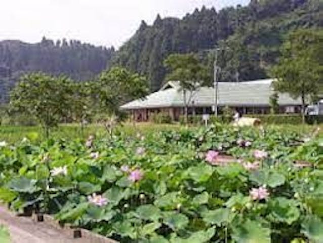 いすみ環境と文化のさとセンター