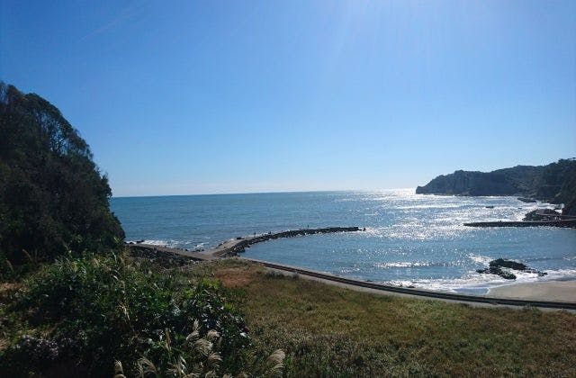 スポットの写真